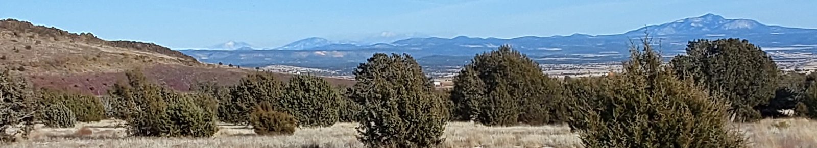 RCC Rev Charles Consulting Wellness Advisor Personal Mentor